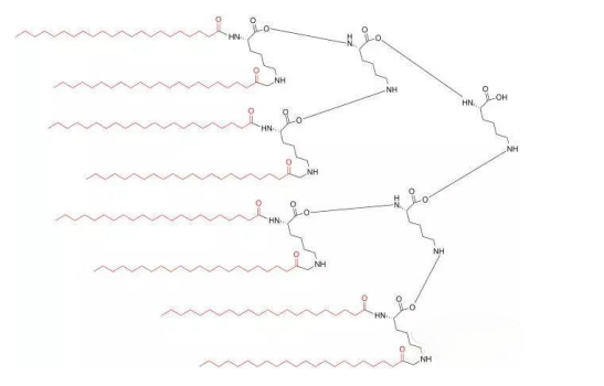 常見(jiàn)3種多聚抗原肽的設(shè)計(jì)合成（MAPs）